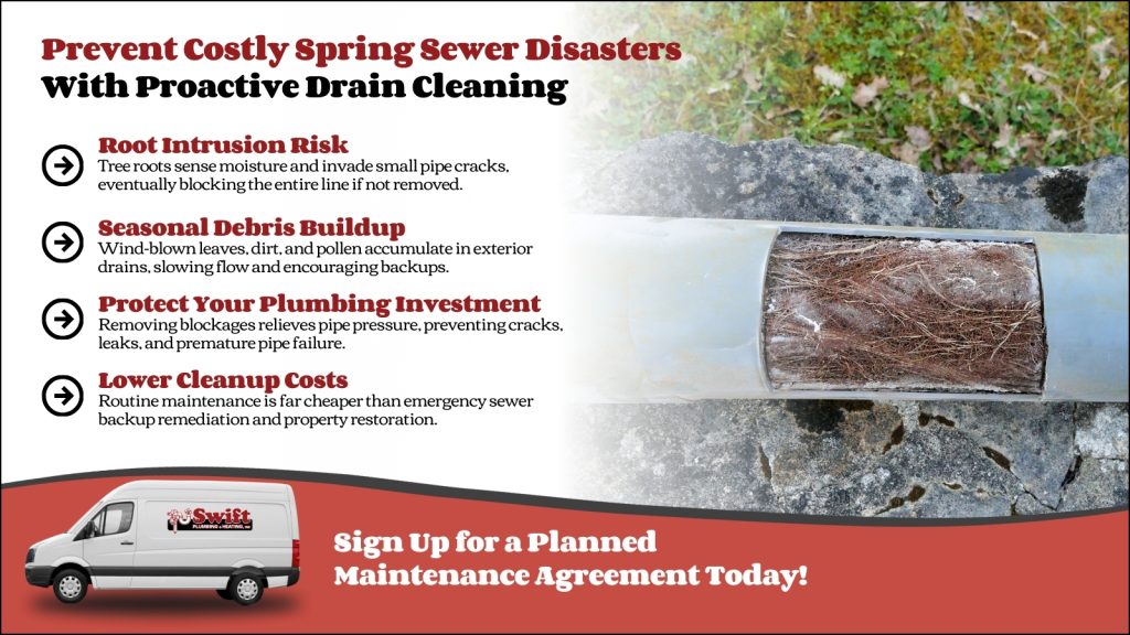 This is an image of roots that are filled up a pipe. The headline reads prevent costly spring sewer, disasters with proactive drain cleaning.