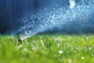 sprinkler